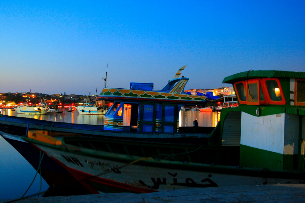 Lampedusa...ali della libertà.jpg